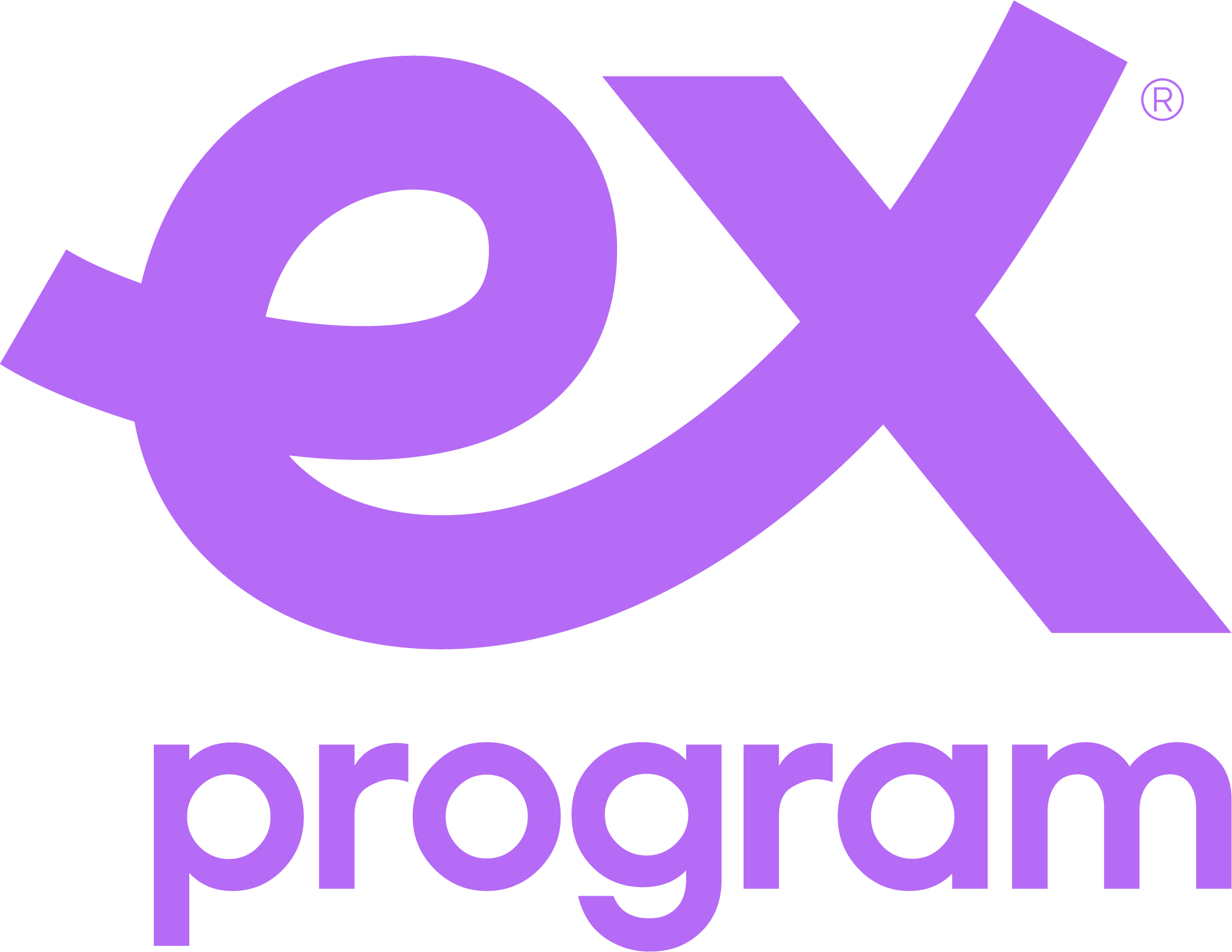 ex program logo